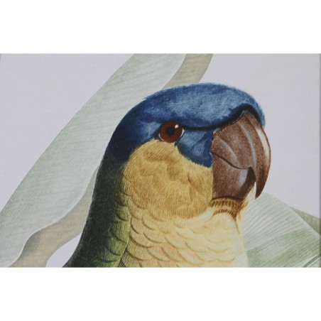 Quadro Home ESPRIT Giallo Verde Pappagallo Tropicale 50 x 2,5 x 70 cm (2 Unità)