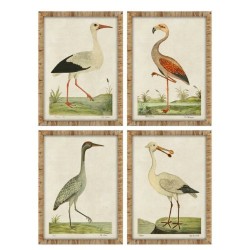 Quadro Home ESPRIT Beige Uccelli Tradizionale 50 x 2,5 x 40 cm (4 Unità)