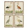Quadro Home ESPRIT Beige Uccelli Tradizionale 50 x 2,5 x 40 cm (4 Unità)