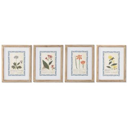 Quadro Home ESPRIT Shabby Chic Piante botaniche 40 x 2,5 x 50 cm (4 Unità)