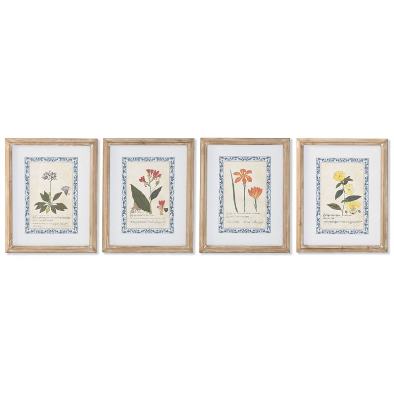 Quadro Home ESPRIT Shabby Chic Piante botaniche 40 x 2,5 x 50 cm (4 Unità) Quadro Home ESPRIT Shabby Chic Piante botaniche 40 x 2,5 x 50 cm (4 Unità)