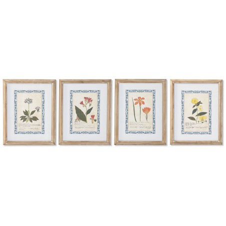 Quadro Home ESPRIT Shabby Chic Piante botaniche 40 x 2,5 x 50 cm (4 Unità)