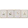 Quadro Home ESPRIT Shabby Chic Piante botaniche 40 x 2,5 x 50 cm (4 Unità)