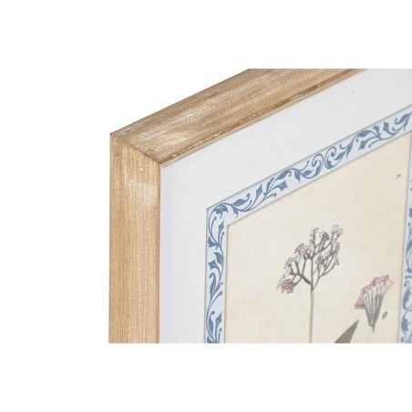 Quadro Home ESPRIT Shabby Chic Piante botaniche 40 x 2,5 x 50 cm (4 Unità)