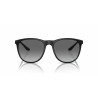 Occhiali da sole Uomo Emporio Armani EA 4210