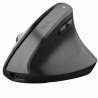 Mouse senza Fili Trust 25146 Nero 2400 dpi