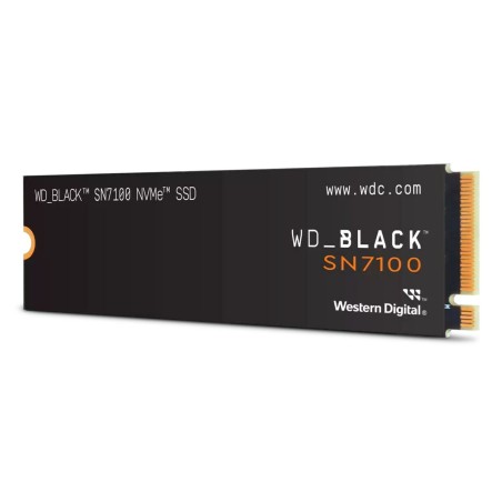 Hard Disk Western Digital WDS100T4X0E