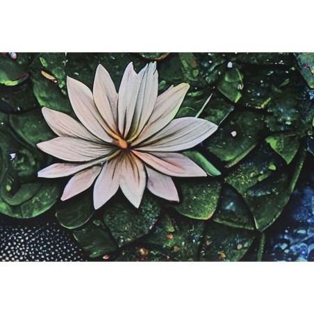 Quadro Home ESPRIT Stampato 150 x 0,4 x 100 cm