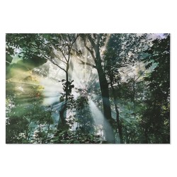 Quadro Home ESPRIT Verde Stampato 150 x 0,4 x 100 cm