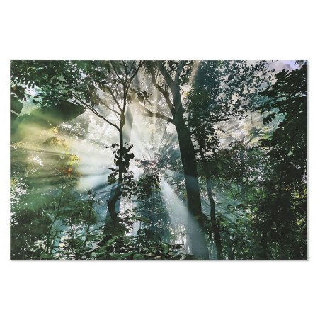 Quadro Home ESPRIT Verde Stampato 150 x 0,4 x 100 cm