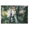 Quadro Home ESPRIT Verde Stampato 150 x 0,4 x 100 cm