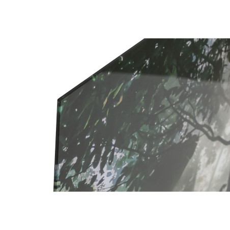 Quadro Home ESPRIT Verde Stampato 150 x 0,4 x 100 cm
