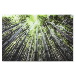 Quadro Home ESPRIT Verde Stampato 150 x 0,4 x 100 cm