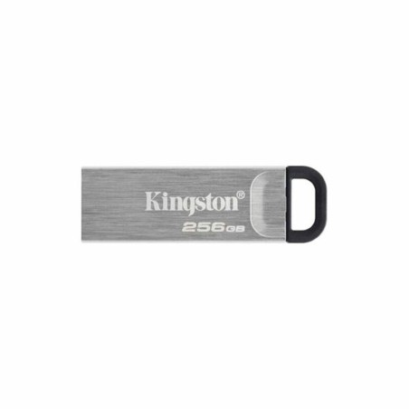 Memoria USB Kingston DTKN/256GB USB 3.2 Argentato 256 GB