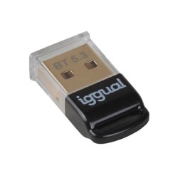 Adattatore Bluetooth iggual IGG319383