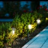 Picchetto solare da giardino Aktive Plastica 5,5 x 36 x 5,5 cm (24 Unità)