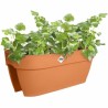Vaso Elho Vibia Campana Flower Bridge 60 Marrone 26 x 59 x 22 cm