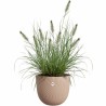 Vaso Elho Marrone 30 x 29,5 x 25 cm