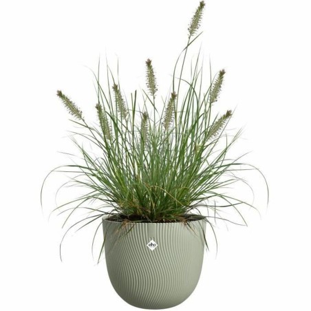 Vaso Elho Verde 30 x 29,5 x 25 cm