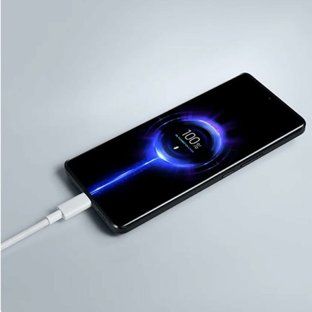 Caricabatterie da Parete + Cavo USB A con USB-C Xiaomi 90 W