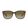 Occhiali da sole Donna Ralph Lauren RA 5293