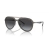 Occhiali da sole Uomo Emporio Armani EA 2145