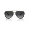 Occhiali da sole Uomo Emporio Armani EA 2145