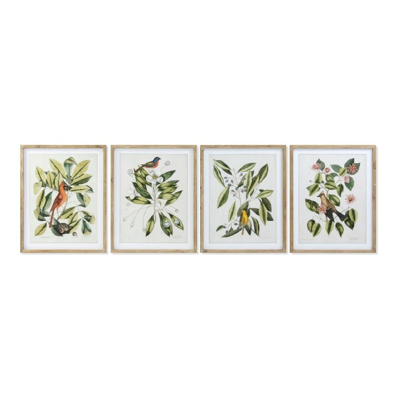 Quadro DKD Home Decor Bird 55 x 2,5 x 70 cm Tropicale Uccelli (4 Pezzi) Quadro DKD Home Decor Bird 55 x 2,5 x 70 cm Tropicale Uccelli (4 Pezzi)