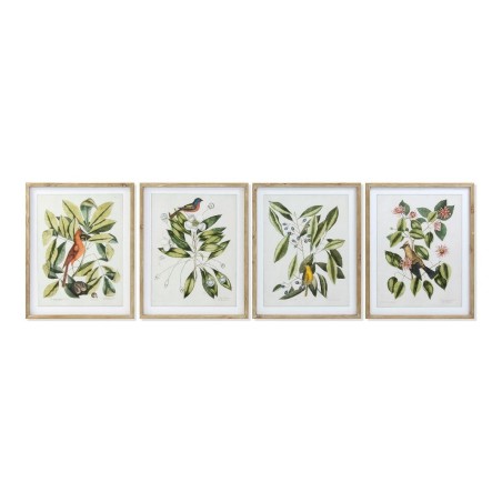 Quadro DKD Home Decor Bird 55 x 2,5 x 70 cm Tropicale Uccelli (4 Pezzi)