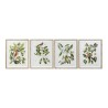 Quadro DKD Home Decor Bird 55 x 2,5 x 70 cm Tropicale Uccelli (4 Pezzi)