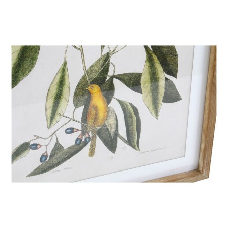 Quadro DKD Home Decor Bird 55 x 2,5 x 70 cm Tropicale Uccelli (4 Pezzi)