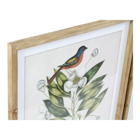 Quadro DKD Home Decor Bird 55 x 2,5 x 70 cm Tropicale Uccelli (4 Pezzi)