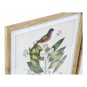 Quadro DKD Home Decor Bird 55 x 2,5 x 70 cm Tropicale Uccelli (4 Pezzi)