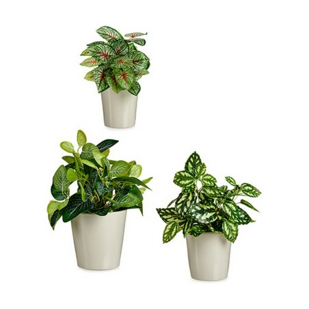 Set di Vasi Ibergarden LINCE PQ - 7044 Grigio Argilla (6 Unità)