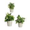 Set di Vasi Ibergarden LINCE PQ - 7044 Grigio Argilla (6 Unità)