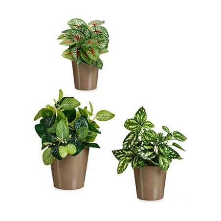 Set di Vasi Ibergarden LINCE PQ - 7006 Taupé Argilla (6 Unità)