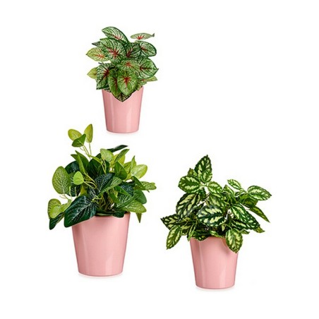 Set di Vasi Ibergarden LINCE PQ - 3015 Rosa Argilla (6 Unità)