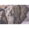 Quadro Home ESPRIT Beige Grigio Elefante Coloniale Porporina 150 x 4 x 50 cm (2 Unità)