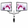 Supporto TV V7 DM1DTA-1N 17" 32" 8 kg