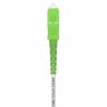 Cavo fibra ottica Aisens G657A2 5 m