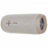 Altoparlante Bluetooth Portatile Avenzo