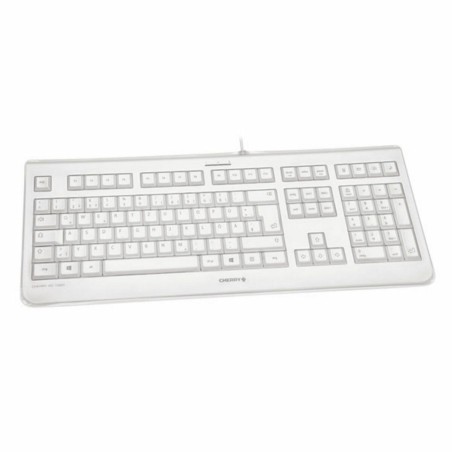 Tastiera Cherry JK-1068ES-0 Grigio Qwerty in Spagnolo QWERTY