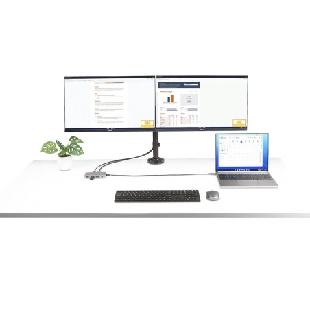 Hub USB-C Startech 117B-USBC-MULTIPORT Grigio 100 W