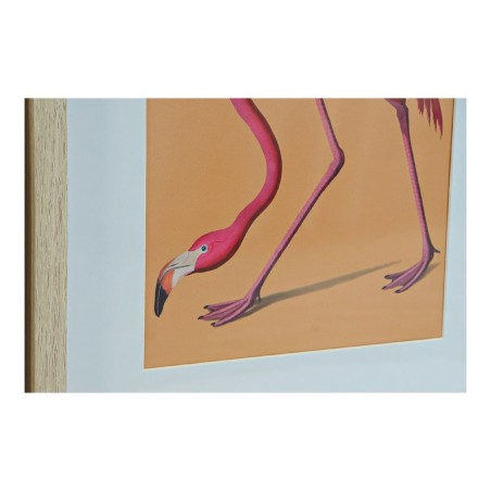 Quadro DKD Home Decor S3013651 Uccelli Tropicale (35 x 2 x 45 cm) (4 Unità)
