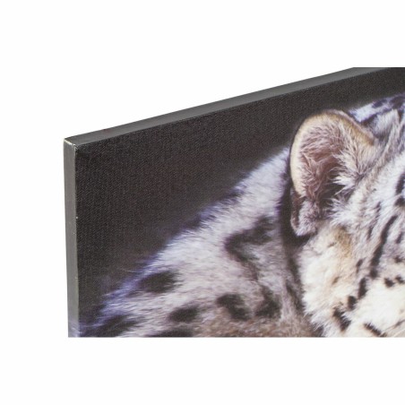 Quadro DKD Home Decor Tigre Coloniale (80 x 1,8 x 40 cm) (2 Unità)