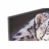 Quadro DKD Home Decor Tigre Coloniale (80 x 1,8 x 40 cm) (2 Unità)