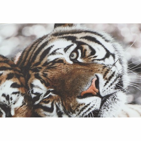 Quadro DKD Home Decor Tigre Coloniale (80 x 1,8 x 40 cm) (2 Unità)