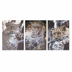 Quadro DKD Home Decor Leopardo Coloniale (50 x 1,8 x 70 cm)