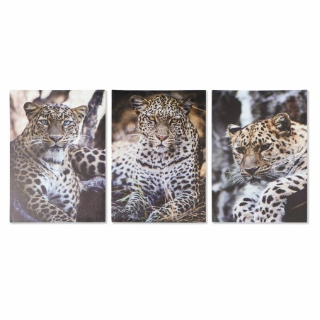 Quadro DKD Home Decor Leopardo Coloniale (50 x 1,8 x 70 cm)