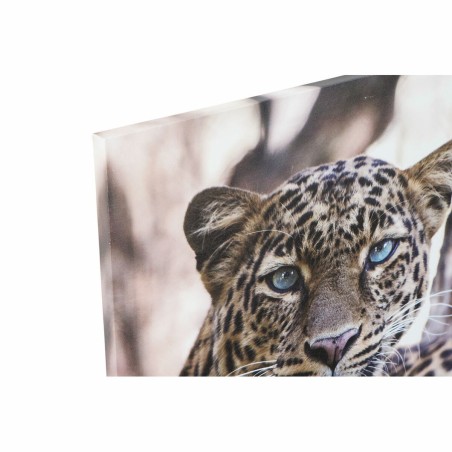 Quadro DKD Home Decor Leopardo Coloniale (50 x 1,8 x 70 cm)